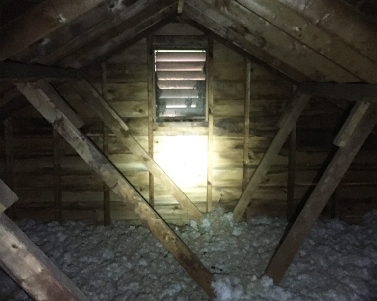 Snake Removal from Attic North Carolina, North and surrounding